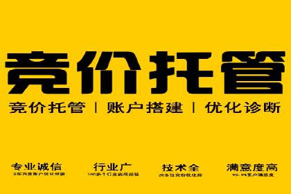 SEM账户运营技巧与案例分享