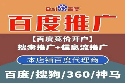 专业SEM服务公司案例分析报告